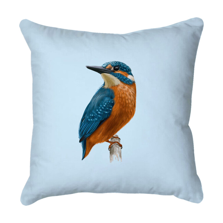 Kingfisher Baby Blue Quick Dry Outdoor Cushion
