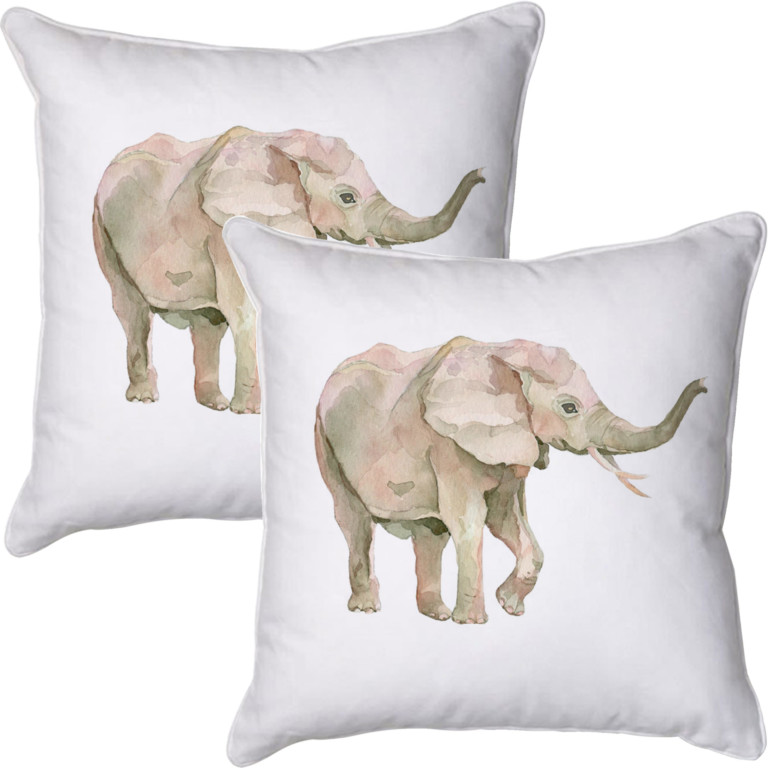 Elephant Side White