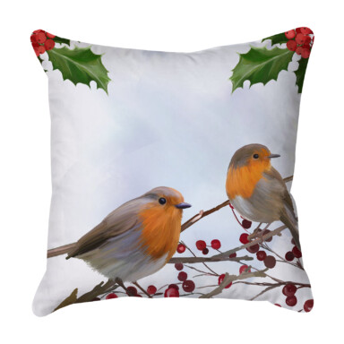 Robin Pair