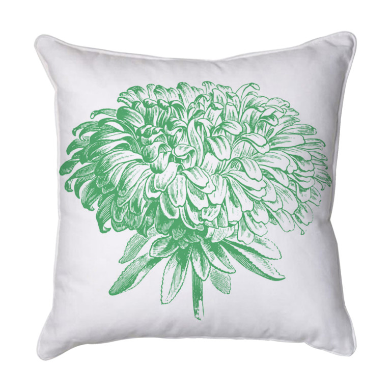 Chrysanthemum 2 Green