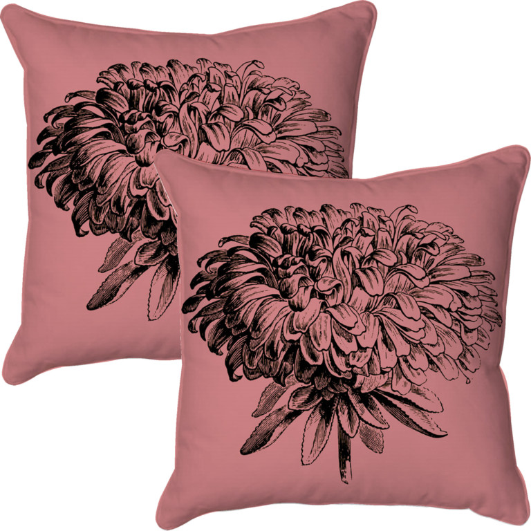 Chrysanthemum 2  Pink