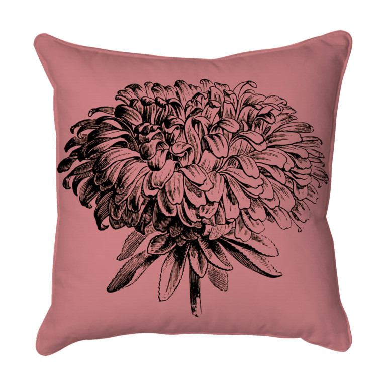 Chrysanthemum 2  Pink