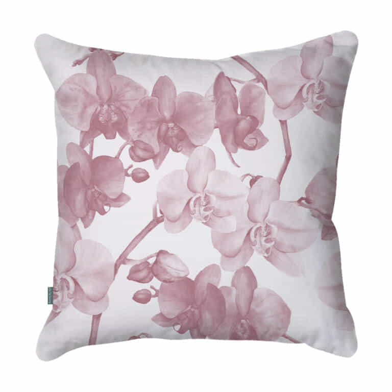 Orchid Pale Pink