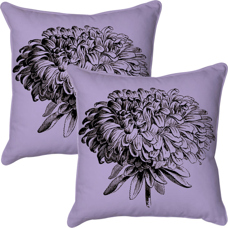 Chrysanthemum 2 Lilac