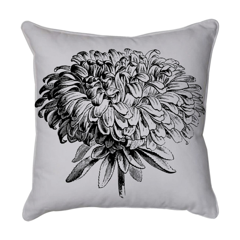 Chrysanthemum 2  Grey