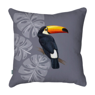 Toucan Grey