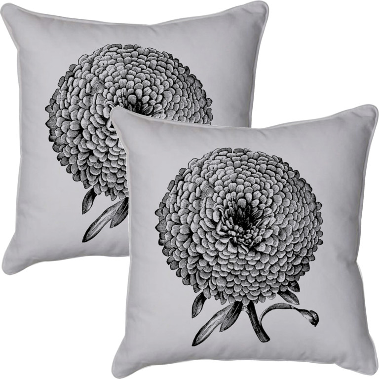 Chrysanthemum 1 Grey