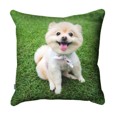 Personalised Cushion