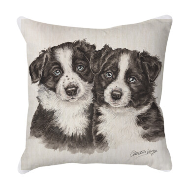 Border Collies