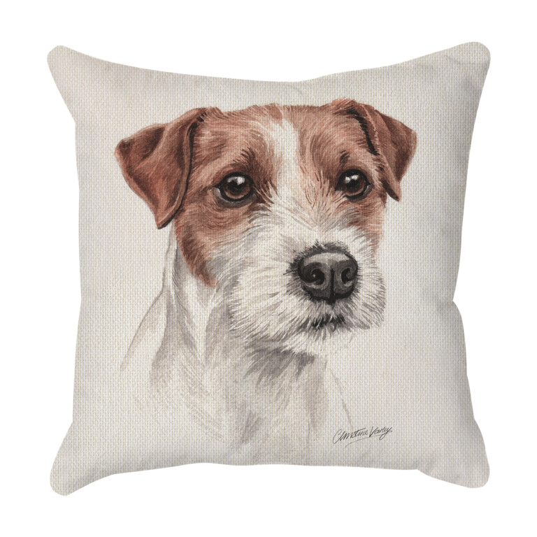 Parson Jack Russell