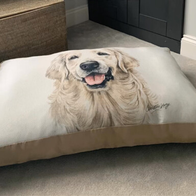 Pet Beds