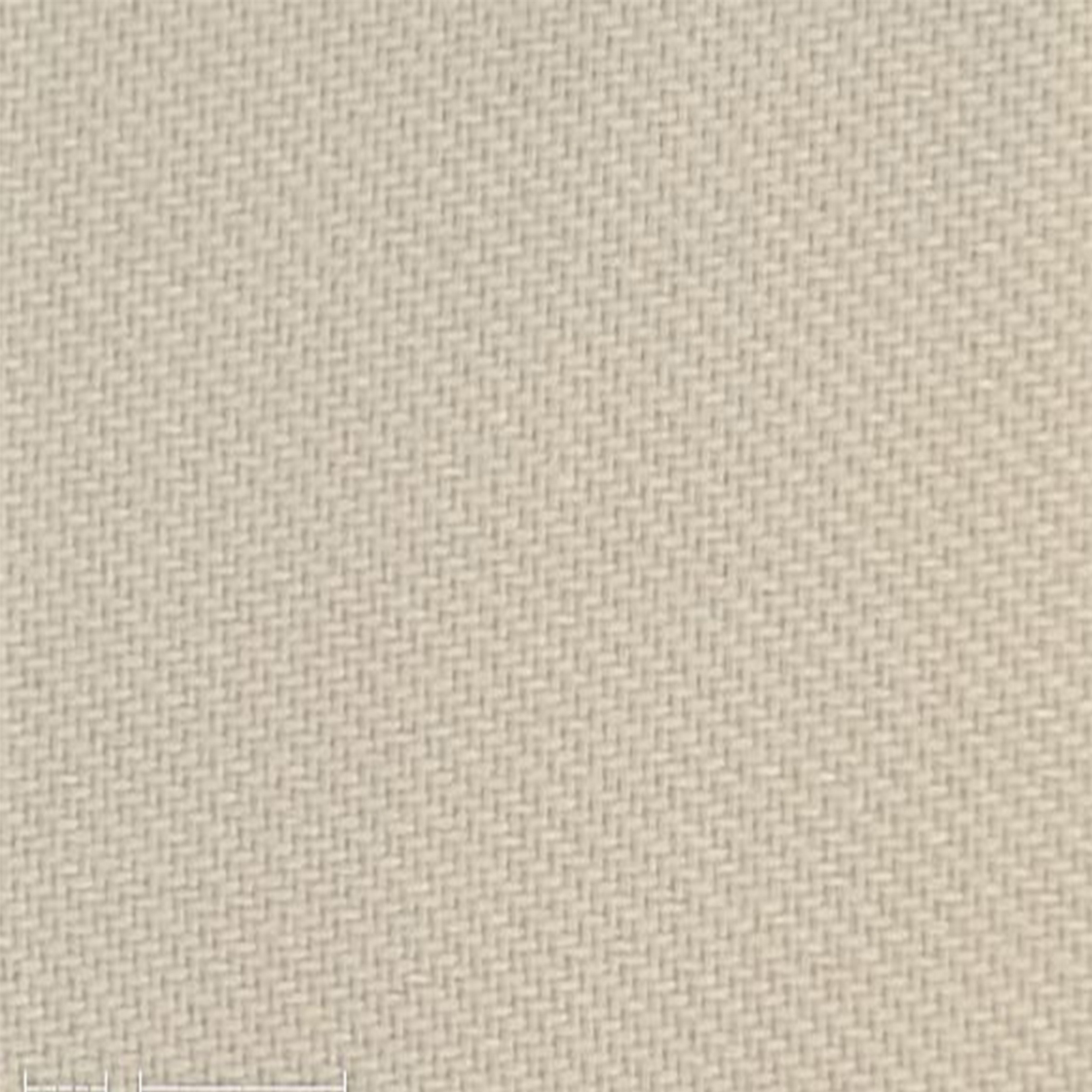 Oakley Canvas