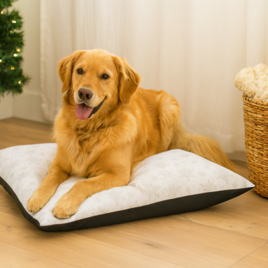 Pet Beds
