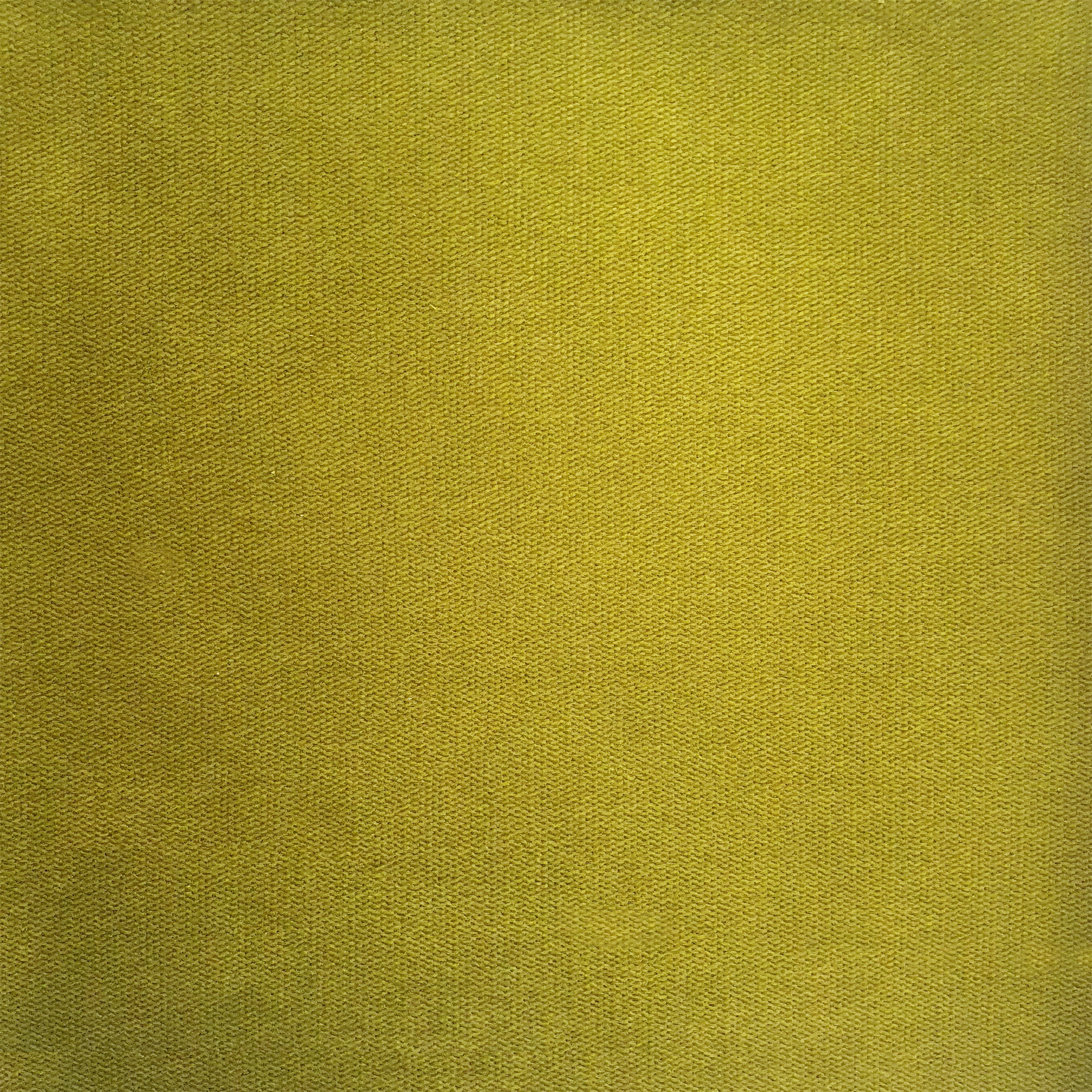 Plush Olive