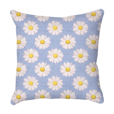 Summer Sky Daisies Outdoor Cushion