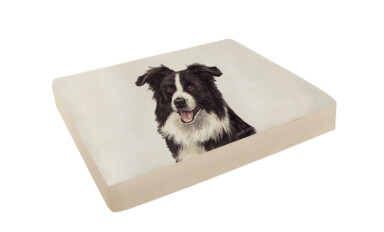 Border Collie Pet Bed