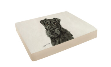 Patterdale Terrier Pet Bed