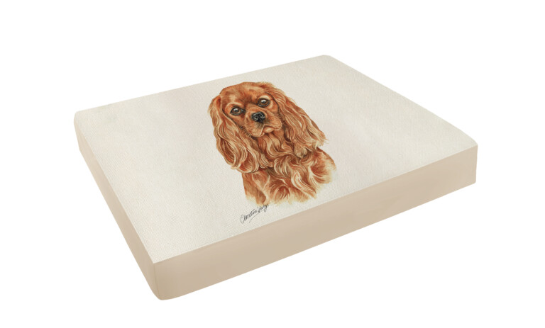 B&T Cav King Charles Pet Bed