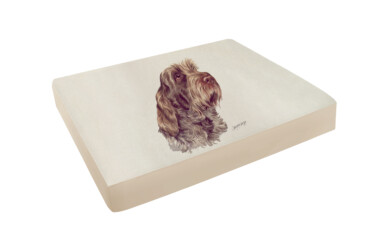 Italian Spinone Pet Bed